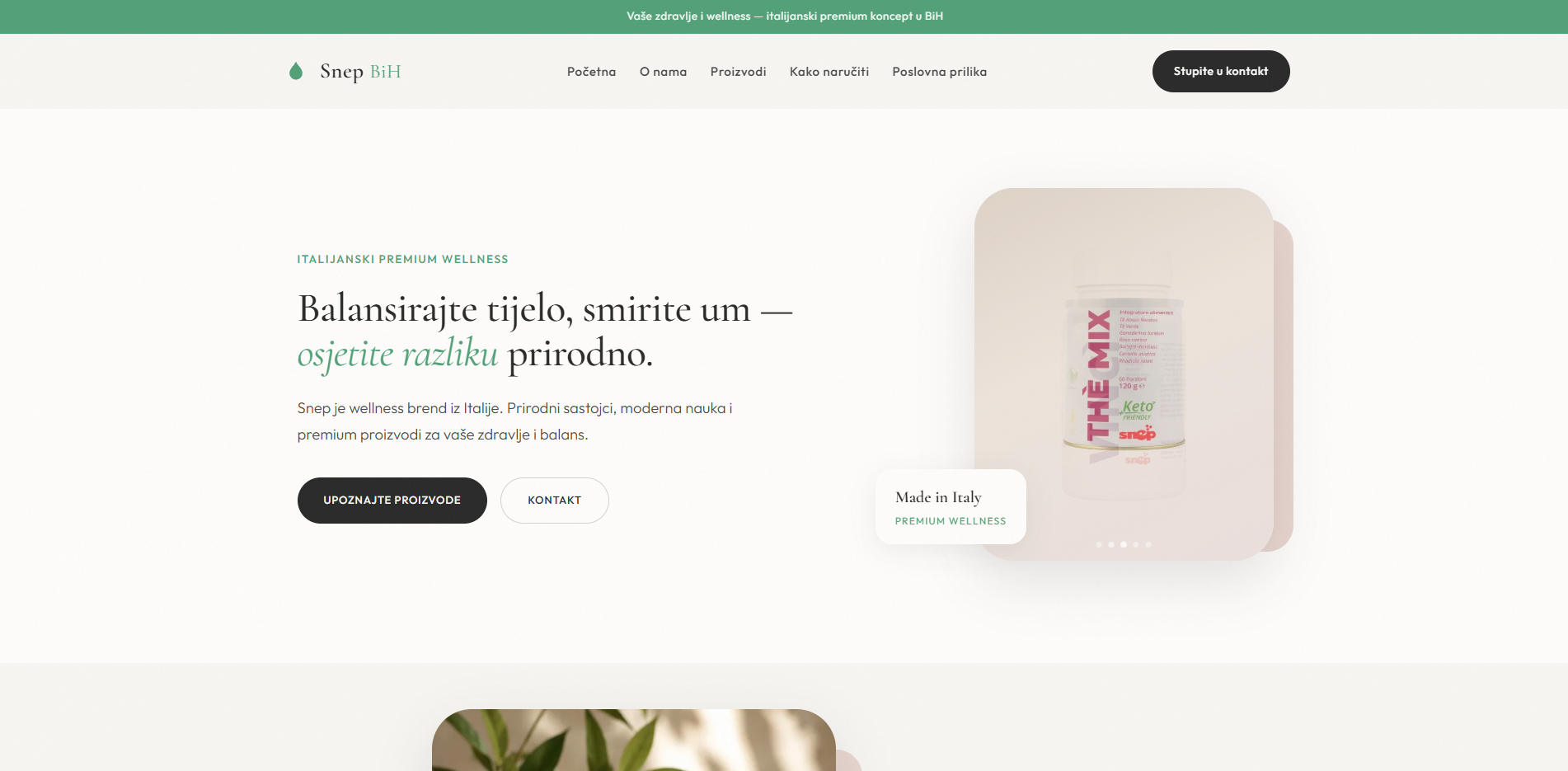 SNEP BiH — prikaz web stranice